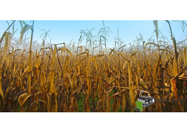 Poszter tájképTPT016