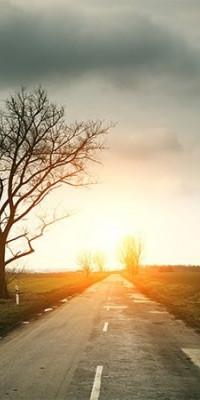 Poszter tájképTPT182