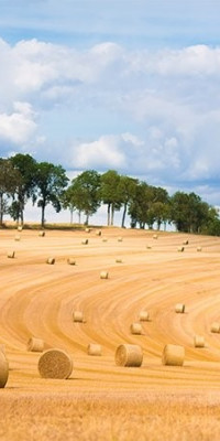 Poszter tájképTPT191