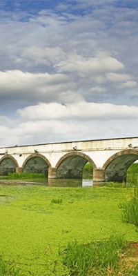 Poszter tájképTPT228