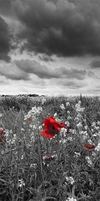 Poszter tájképTPT233