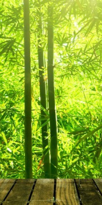 Poszter tájképTPT025