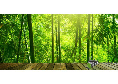 Poszter tájképTPT025