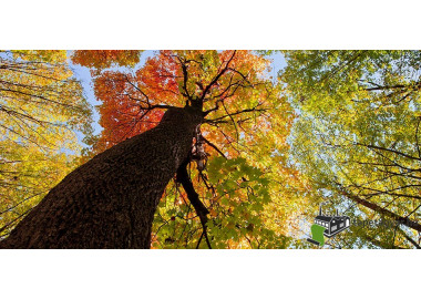 Poszter tájképTPT033