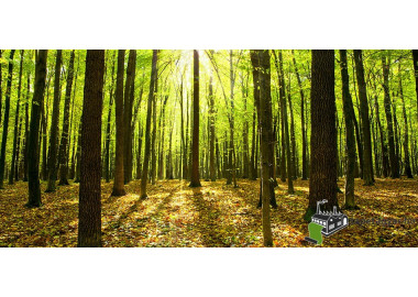 Poszter tájképTPT034