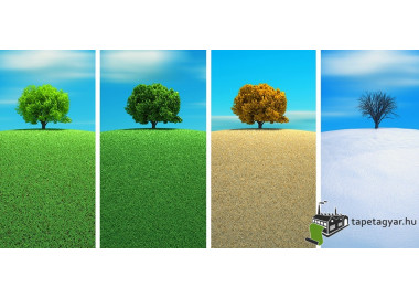 Poszter tájképTPT041