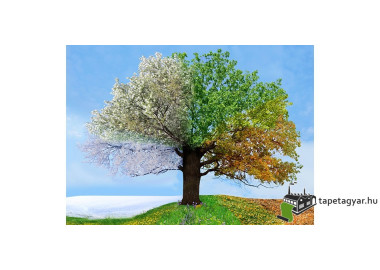 Poszter tájképTPT042