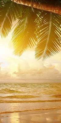 Poszter tájképTPT045