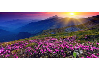 Poszter tájképTPT056