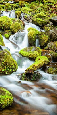 Poszter tájképTPT065