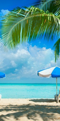 Poszter tájképTPT097